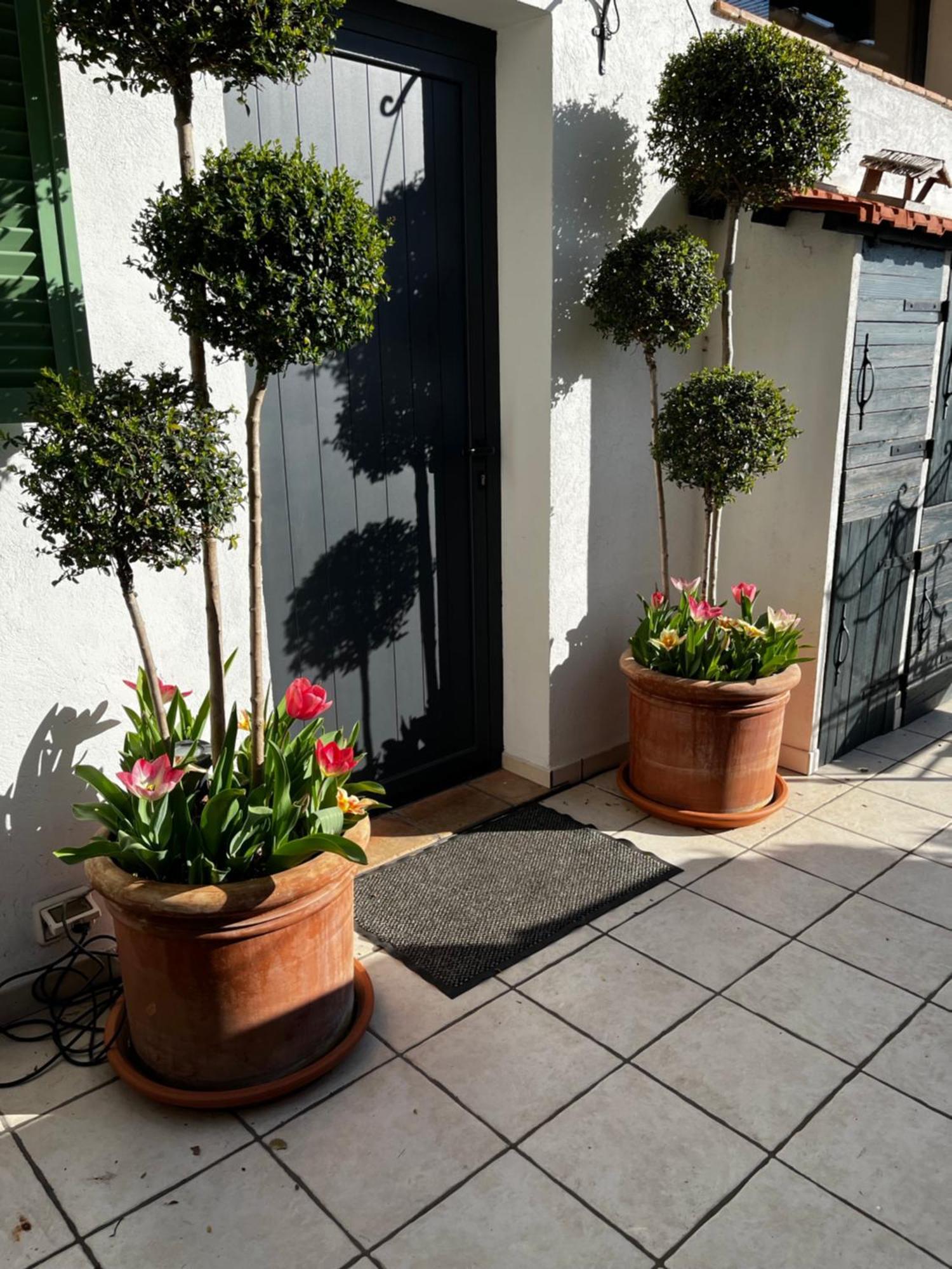 Skylark Bed & Breakfast Grasse Exterior foto
