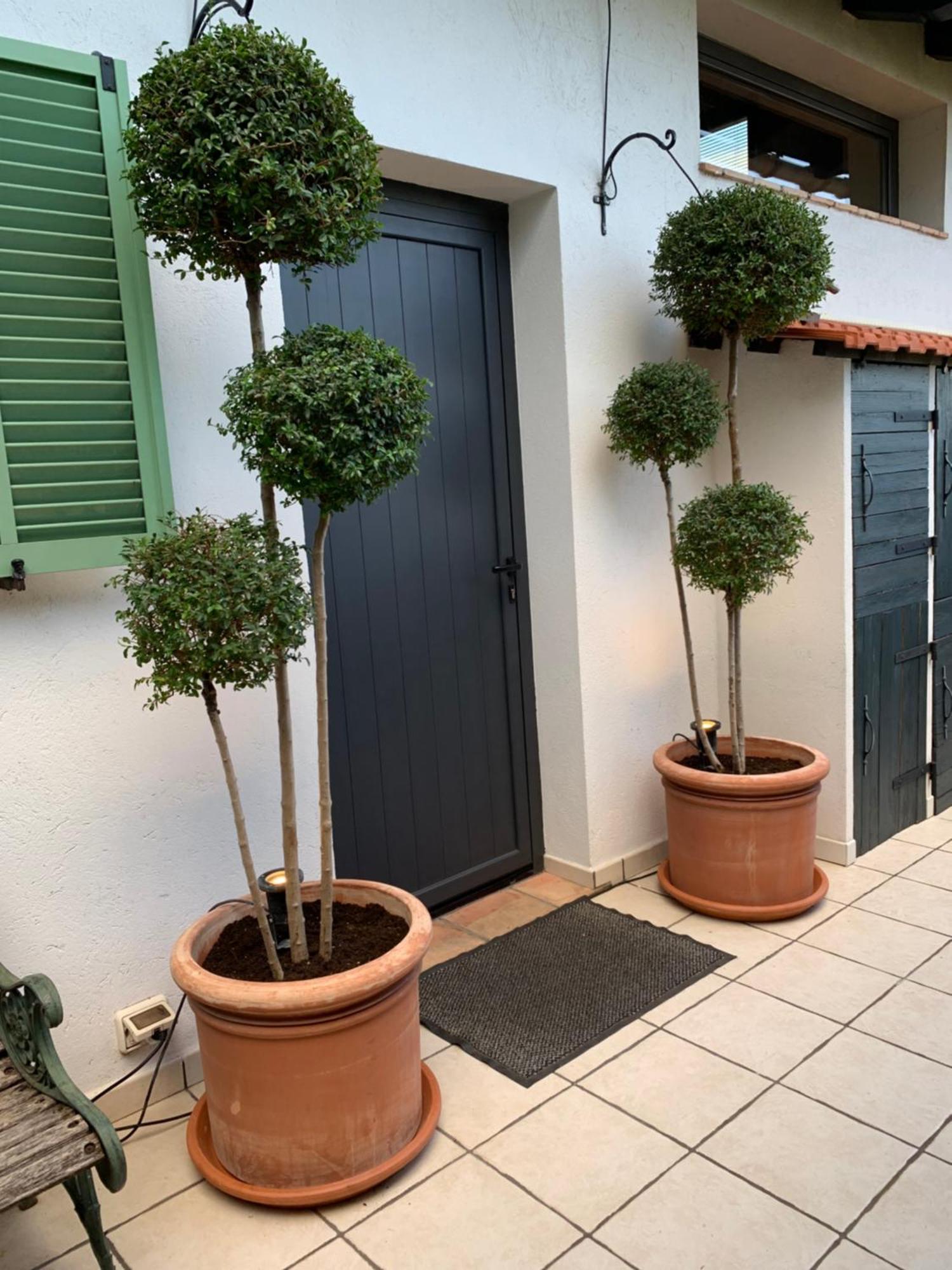 Skylark Bed & Breakfast Grasse Exterior foto
