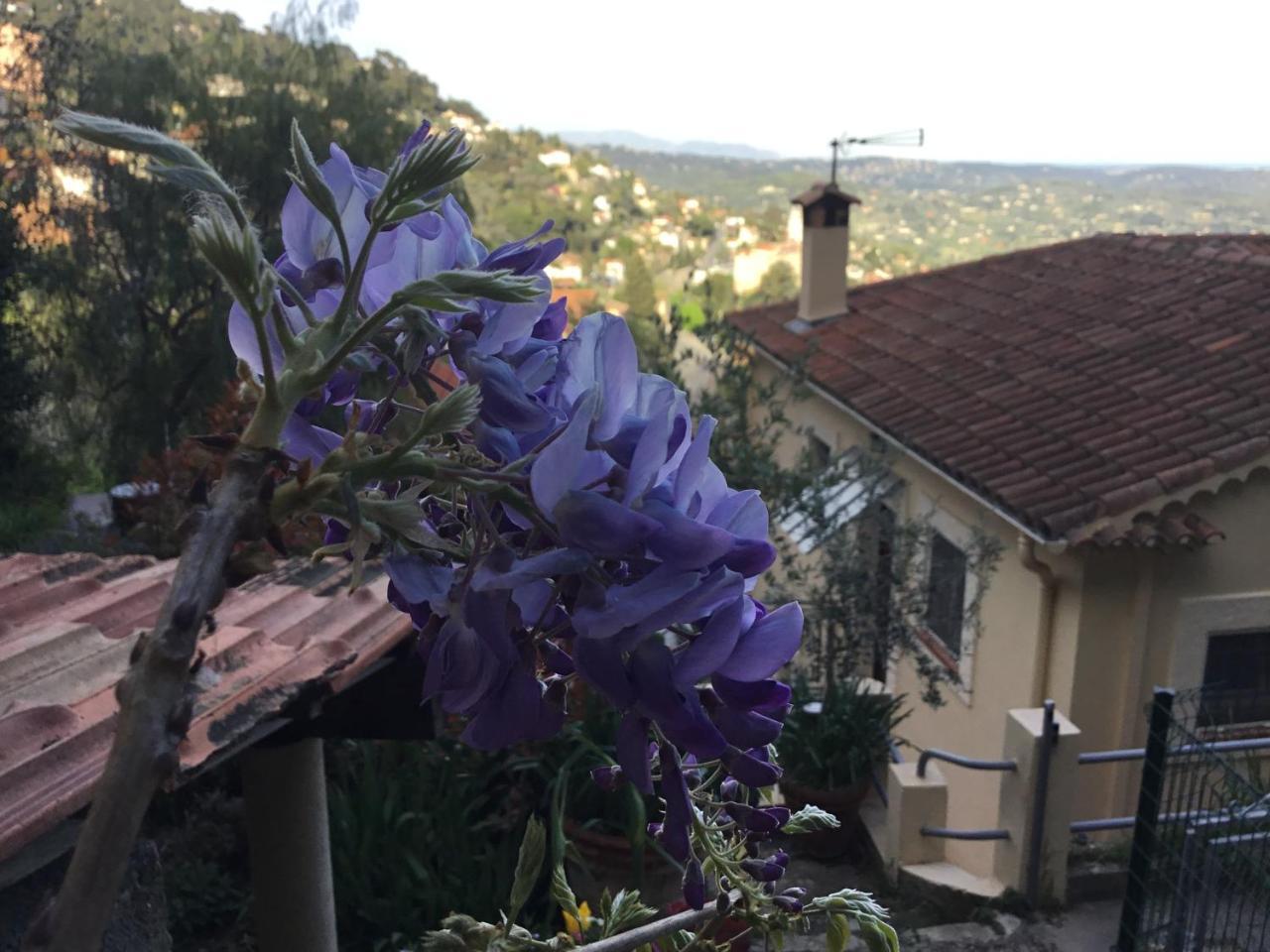 Skylark Bed & Breakfast Grasse Exterior foto