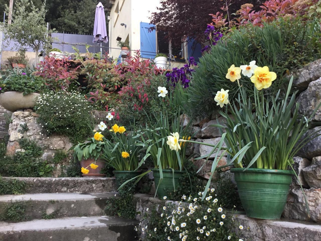 Skylark Bed & Breakfast Grasse Exterior foto