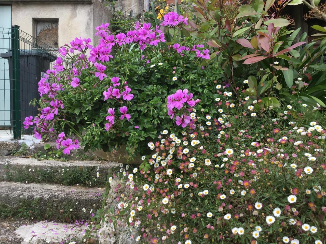 Skylark Bed & Breakfast Grasse Exterior foto